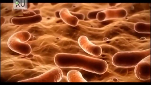 В здравоохранении Курганской области утверждают, что у курганцев все чаще болит желудок смотреть онлайн