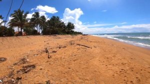 Большой обзор отеля Турия Калутара 4*. Шри Ланка. Hotel Turyaa Kalutara 4*. Sri Lanka