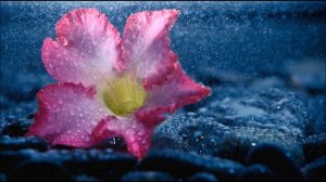 Conjure One  -Tears From The Moon