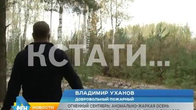 Огненный сентябрь - аномальная жара привела к росту лесных пожаров смотреть онлайн