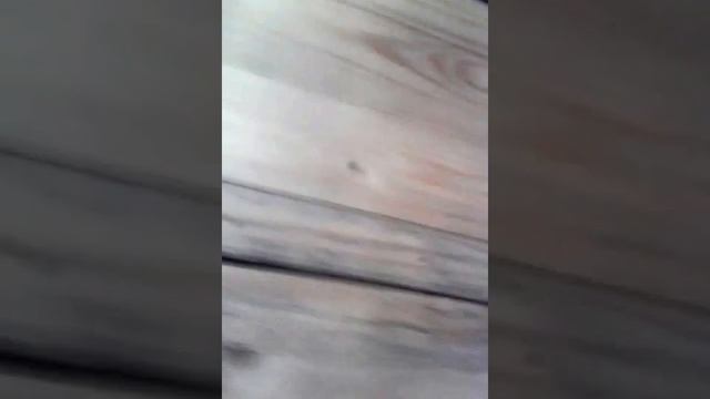 складное кресло и столик для дачи и пикника за день смотреть онлайн