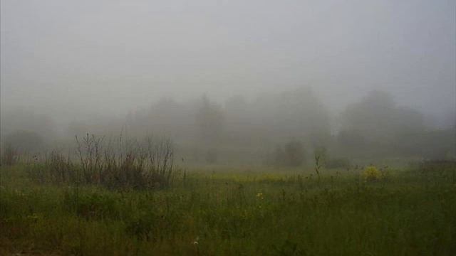 Dark Blue Fog (Синий Туман) смотреть онлайн