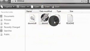 How to use DXWnd