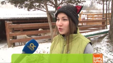 Воспитание у детей ответственности. Заводим ребенку животное