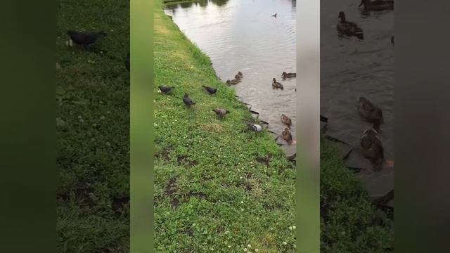 Немецкая деревня в Краснодаре, очень даже неплохо я вам скажу
