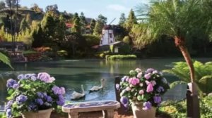 The Lake That Inspired Elvis Presley's Graceland Meditation Gardens | Self-Realization Lake