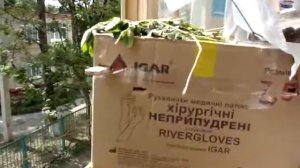 ловушка для пчел из картонной коробки