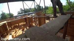 Строительство деревянных домов Северный дом