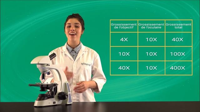 L'utilisation du microscope | Sciences | Alloprof смотреть онлайн