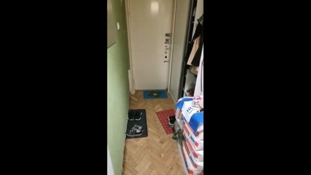 Ремонт в старой квартире. Ремонт квартиры в Москве.