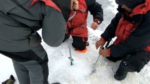 Трофейная щука