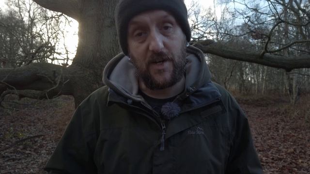 Using the Olympus OMD EM10 mark ii in 2023 смотреть онлайн