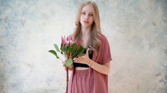 Обзор на Протею