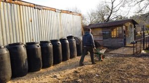 Корова или коза? Кого выгоднее содержать?