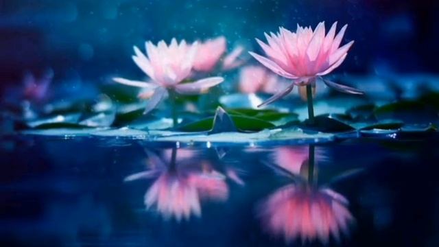 6 тело - Нимб. Ардас Бхаи смотреть онлайн