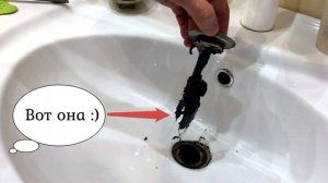 Грязь в сифоне, где скапливается - 2? Тут тоже надо чистить!