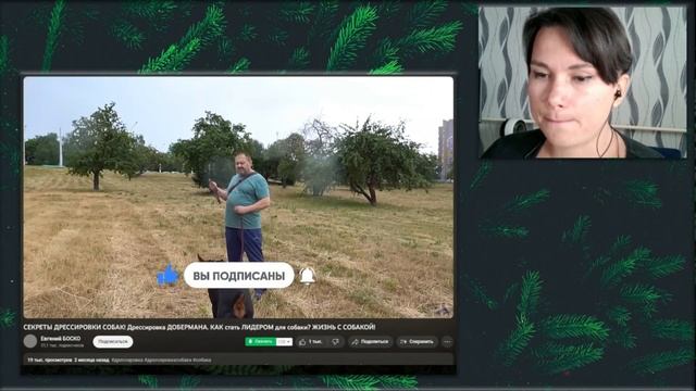 Разбор видео с канала Евгений Боско. Перезалив.