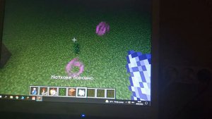 Как сделать чтобы деревья в Майнкрафте не высоко росли (если вам это конечно пригодится).