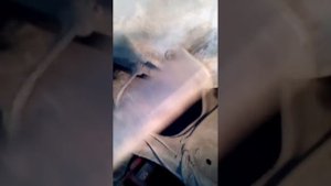 Форд скорпио - выравнивание стаканов. Как выравнять колеса домиком