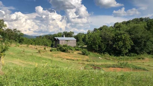 Пасифлора. Сьогодення в Pankivka, USA. смотреть онлайн