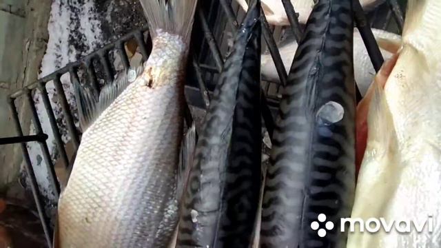 Копчение рыбы... смотреть онлайн