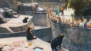 Калининград в 1975 году