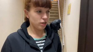 Галка Улетайка