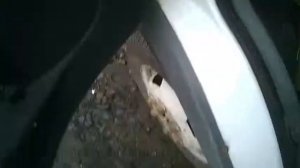 Шприцевание шкворней Газели.