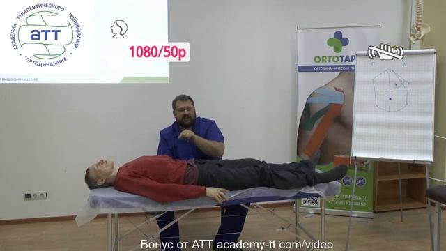 Мастер класс: ИНДУКТИВНЫЕ ТЕХНИКИ В КИНЕЗИОНИКЕ