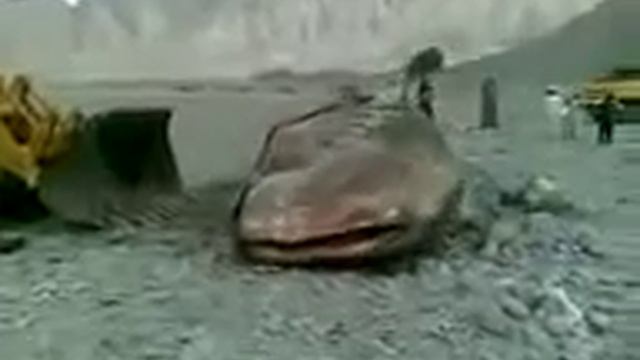 Находка в Амударье