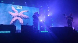 Слава КПСС - Подментованный кот (29.01.2023)