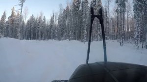 Приехал на Урале за лесом, а его УЖЕ своровали!!!