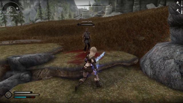 ADXP + Valhalla + Wildcat + Dark sould movement and stam regen смотреть онлайн