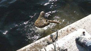 Поисковый магнит в Санкт Петербурге р  Нева Финляндский вокзал оставили магнит в воде