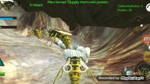 Симулятор осы