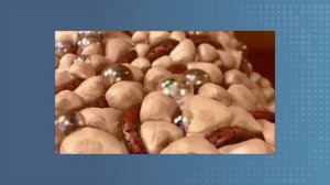 Использование звуковых волн для уничтожения рака | Кристин Гиббонс, TEDxDetroit