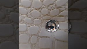 спальный мебель Богемия 4дверный сборка установка