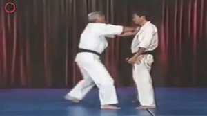 Kyokushin Karate - Self-Defense Techniques part3 - Bobby Lowe 8 Dan