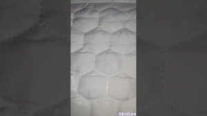 Многоразовая пеленка для щенка или одноразовая? Обзор.