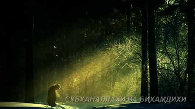 Чеченцы Чечен НОХЧО Chechen's CHECHEN