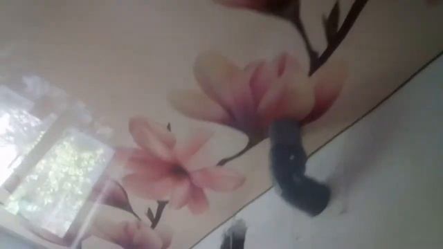 Натяжной потолок с фотопечатью смотреть онлайн