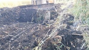 Сапропель с болота пригодится