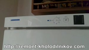 Поломка холодильника Liebherr CP 40030