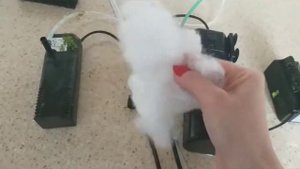 Как чистить фильтр. Аквариум для начинающих