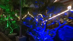 Cavelossim Кавелоссим