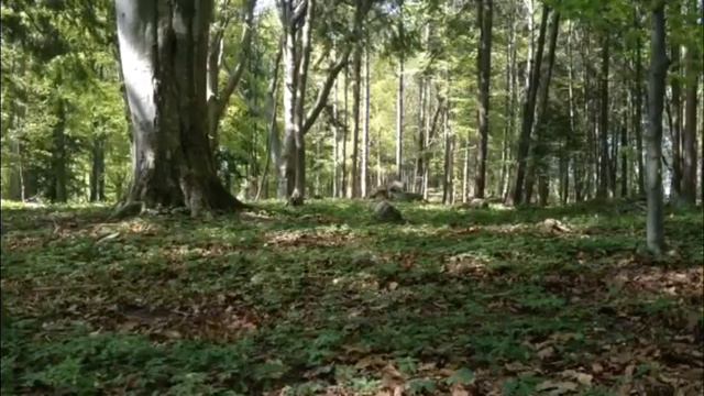 ЦИТАТЫ ВЕЛИКИХ ЛЮДЕЙ: Либо Я Найду Свой Путь, Либо Я Проложу Его Сам смотреть онлайн