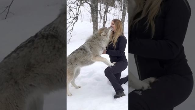 GIRL HOWLS WITH GIANT WOLVES