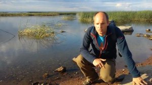 Почему необходимо сохранять невскую Губу Финского залива?