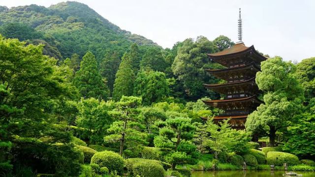 018. МИСТИКА И ВОЛШЕБСТВО ГОР | 818 НАНДИ И 808 БАСМАКИ | relax смотреть онлайн