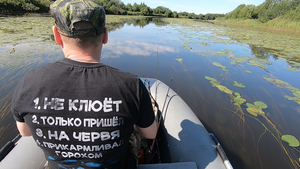 Рыбалка на спиннинг в протоках